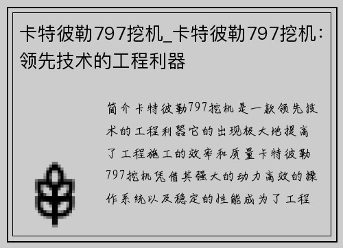 卡特彼勒797挖机_卡特彼勒797挖机：领先技术的工程利器
