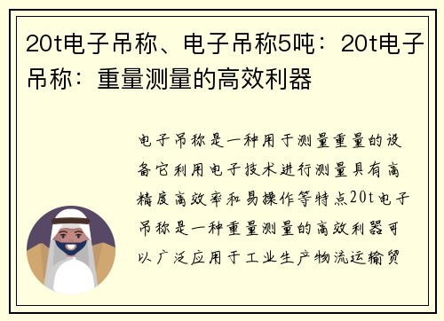20t电子吊称、电子吊称5吨：20t电子吊称：重量测量的高效利器
